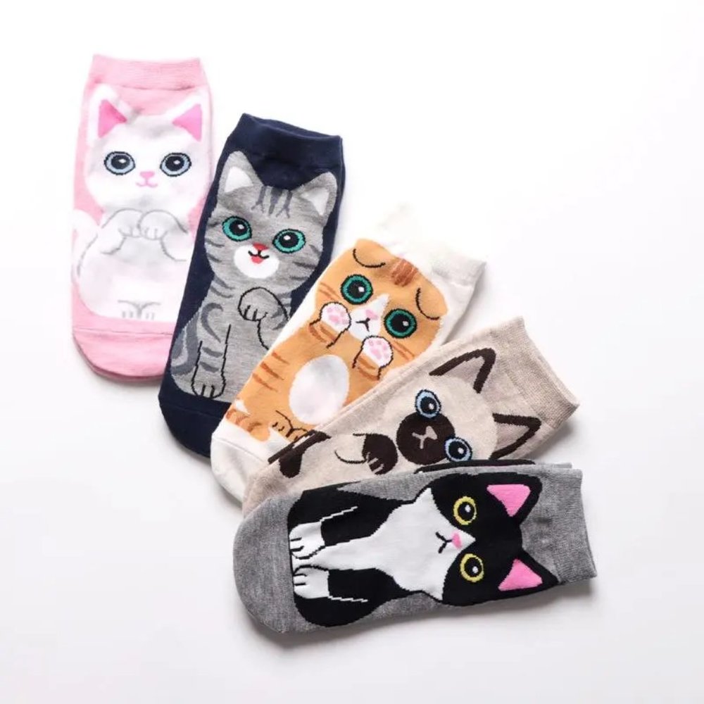 SET OF FIVE PAIR CARTOON CAT FOOTIES NWOT